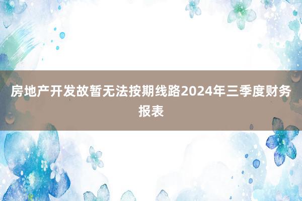 房地产开发故暂无法按期线路2024年三季度财务报表