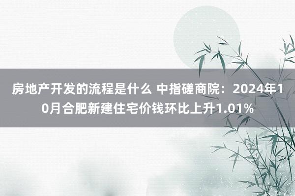 房地产开发的流程是什么 中指磋商院：2024年10月合肥新建住宅价钱环比上升1.01%