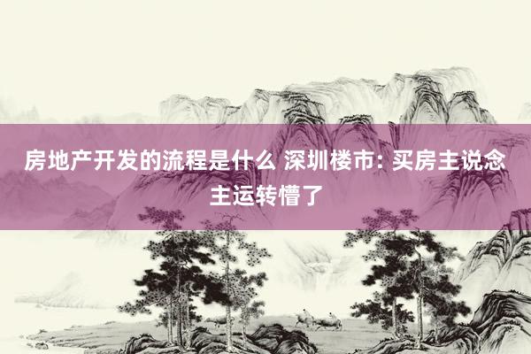 房地产开发的流程是什么 深圳楼市: 买房主说念主运转懵了