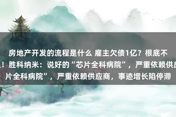 房地产开发的流程是什么 雇主欠债1亿？根底不慌，IPO上市就能还上！胜科纳米：说好的“芯片全科病院”，严重依赖供应商，事迹增长陷停滞