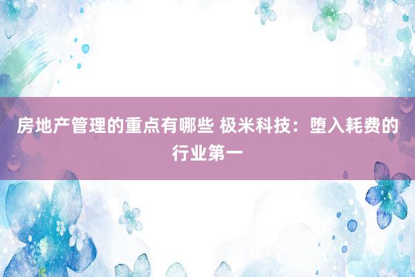 房地产管理的重点有哪些 极米科技：堕入耗费的行业第一