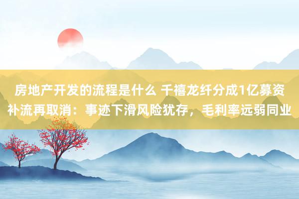 房地产开发的流程是什么 千禧龙纤分成1亿募资补流再取消：事迹下滑风险犹存，毛利率远弱同业