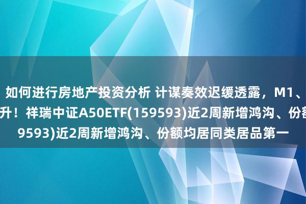 如何进行房地产投资分析 计谋奏效迟缓透露，M1、M2增速双双企稳回升！祥瑞中证A50ETF(159593)近2周新增鸿沟、份额均居同类居品第一