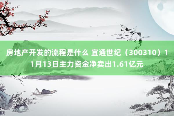 房地产开发的流程是什么 宜通世纪（300310）11月13日主力资金净卖出1.61亿元