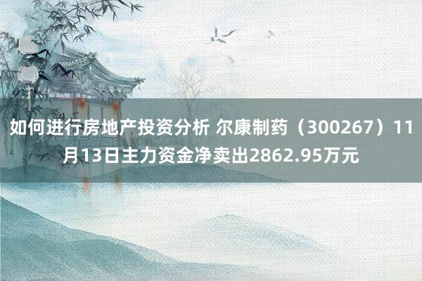 如何进行房地产投资分析 尔康制药（300267）11月13日主力资金净卖出2862.95万元