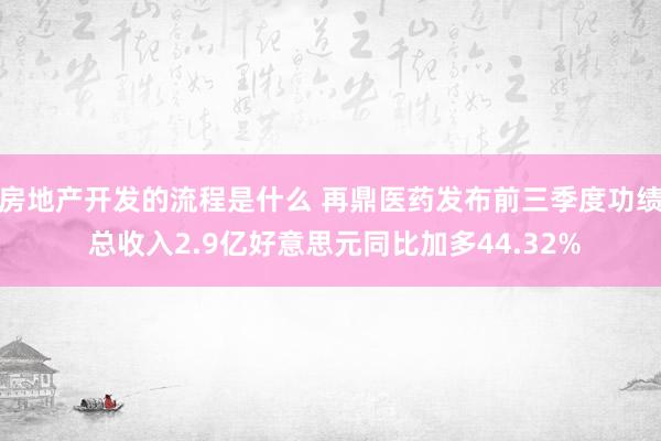 房地产开发的流程是什么 再鼎医药发布前三季度功绩 总收入2.9亿好意思元同比加多44.32%