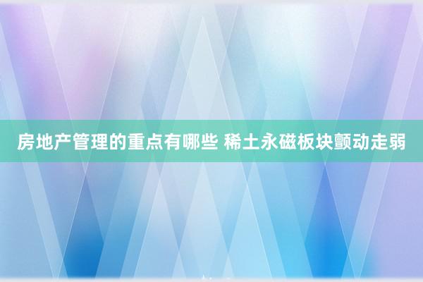 房地产管理的重点有哪些 稀土永磁板块颤动走弱