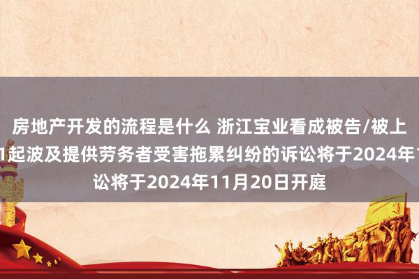 房地产开发的流程是什么 浙江宝业看成被告/被上诉东说念主的1起波及提供劳务者受害拖累纠纷的诉讼将于2024年11月20日开庭