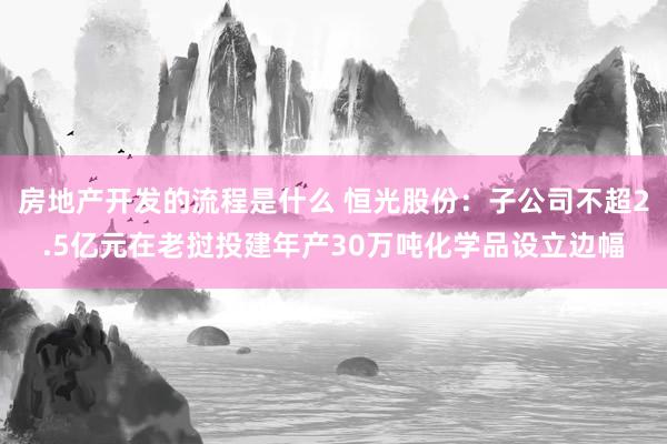 房地产开发的流程是什么 恒光股份：子公司不超2.5亿元在老挝投建年产30万吨化学品设立边幅