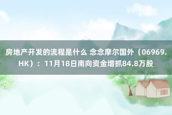 房地产开发的流程是什么 念念摩尔国外（06969.HK）：11月18日南向资金增抓84.8万股