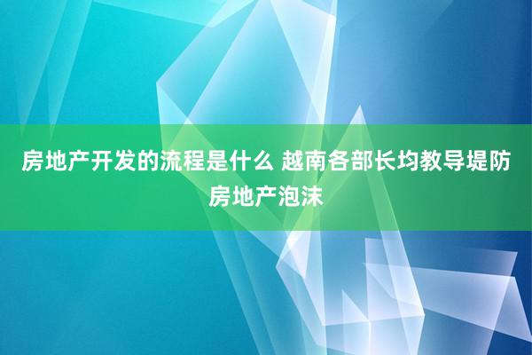 房地产开发的流程是什么 越南各部长均教导堤防房地产泡沫