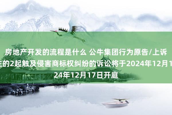 房地产开发的流程是什么 公牛集团行为原告/上诉东说念主的2起触及侵害商标权纠纷的诉讼将于2024年12月17日开庭