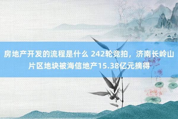 房地产开发的流程是什么 242轮竞拍，济南长岭山片区地块被海信地产15.38亿元摘得