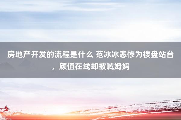 房地产开发的流程是什么 范冰冰悲惨为楼盘站台，颜值在线却被喊姆妈