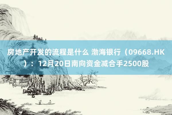 房地产开发的流程是什么 渤海银行（09668.HK）：12月20日南向资金减合手2500股