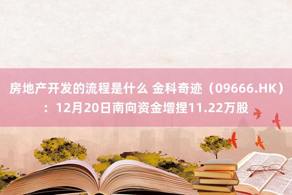 房地产开发的流程是什么 金科奇迹（09666.HK）：12月20日南向资金增捏11.22万股