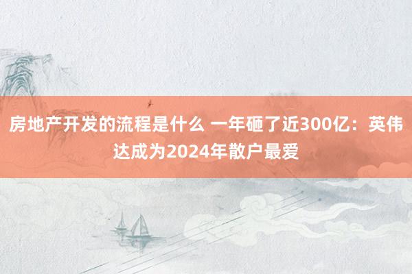 房地产开发的流程是什么 一年砸了近300亿：英伟达成为2024年散户最爱