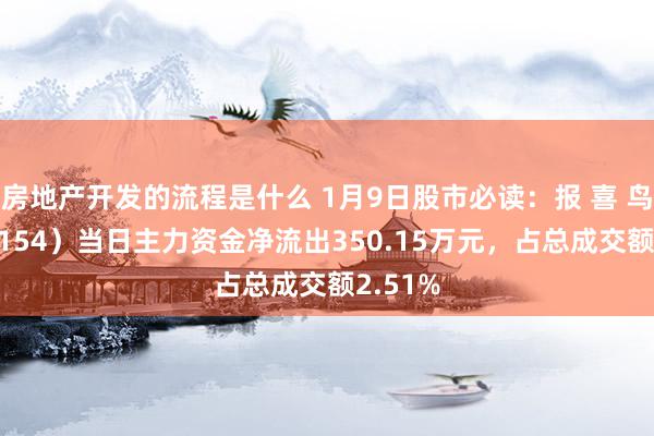 房地产开发的流程是什么 1月9日股市必读：报 喜 鸟（002154）当日主力资金净流出350.15万元，占总成交额2.51%