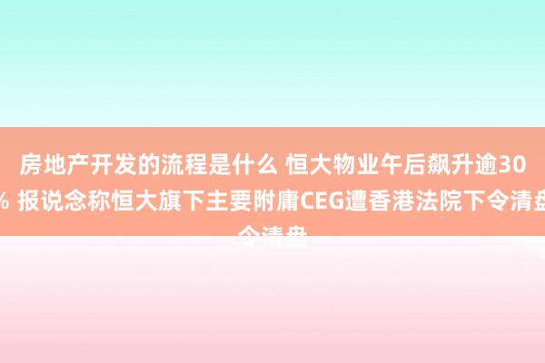 房地产开发的流程是什么 恒大物业午后飙升逾30% 报说念称恒大旗下主要附庸CEG遭香港法院下令清盘