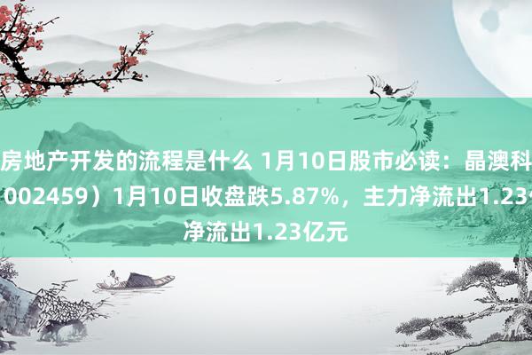 房地产开发的流程是什么 1月10日股市必读：晶澳科技（002459）1月10日收盘跌5.87%，主力净流出1.23亿元