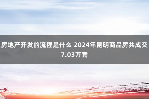 房地产开发的流程是什么 2024年昆明商品房共成交7.03万套