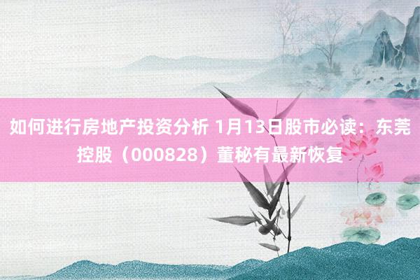 如何进行房地产投资分析 1月13日股市必读：东莞控股（000828）董秘有最新恢复