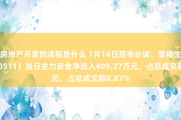 房地产开发的流程是什么 1月14日股市必读：雪榕生物（300511）当日主力资金净流入409.27万元，占总成交额8.87%