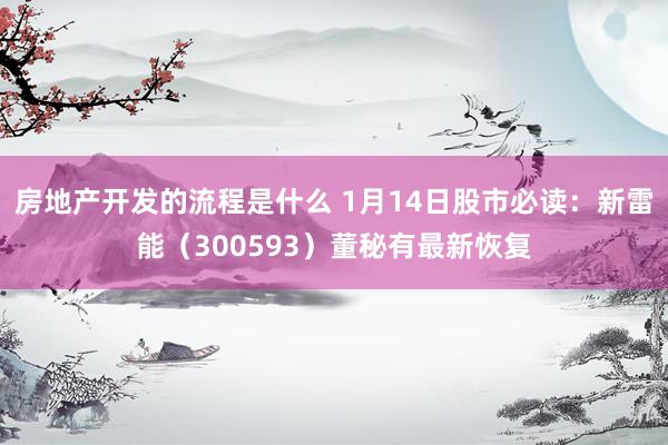 房地产开发的流程是什么 1月14日股市必读：新雷能（300593）董秘有最新恢复