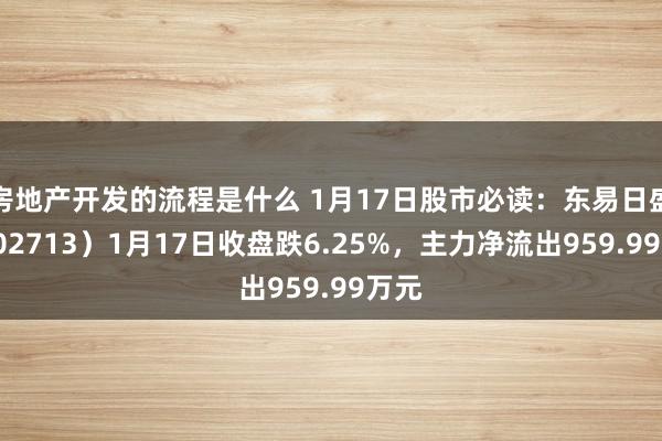 房地产开发的流程是什么 1月17日股市必读：东易日盛（002713）1月17日收盘跌6.25%，主力净流出959.99万元