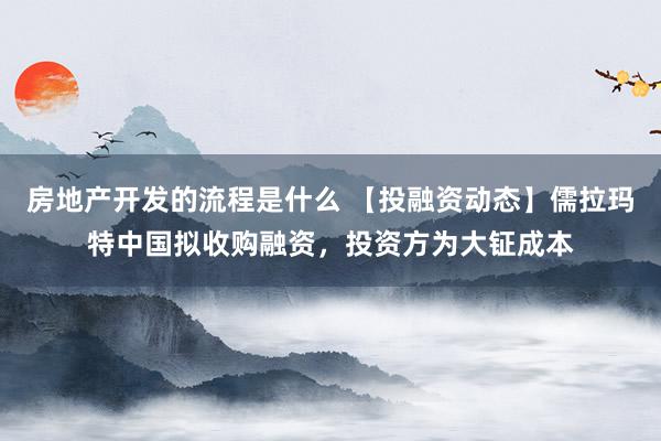 房地产开发的流程是什么 【投融资动态】儒拉玛特中国拟收购融资，投资方为大钲成本