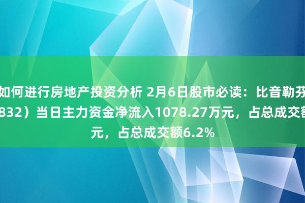 如何进行房地产投资分析 2月6日股市必读：比音勒芬（002832）当日主力资金净流入1078.27万元，占总成交额6.2%