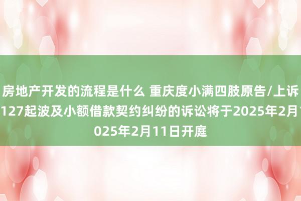 房地产开发的流程是什么 重庆度小满四肢原告/上诉东谈主的127起波及小额借款契约纠纷的诉讼将于2025年2月11日开庭