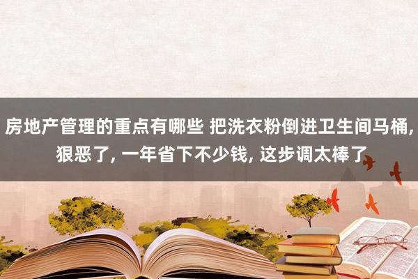 房地产管理的重点有哪些 把洗衣粉倒进卫生间马桶, 狠恶了, 一年省下不少钱, 这步调太棒了