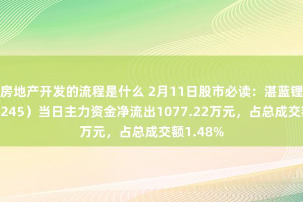 房地产开发的流程是什么 2月11日股市必读：湛蓝锂芯（002245）当日主力资金净流出1077.22万元，占总成交额1.48%