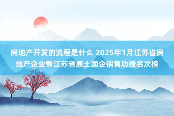 房地产开发的流程是什么 2025年1月江苏省房地产企业暨江苏省原土国企销售功绩名次榜