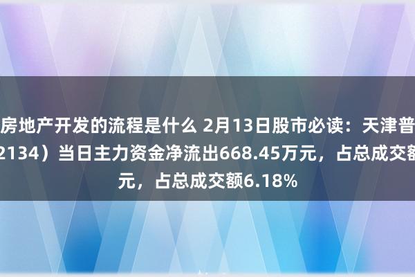 房地产开发的流程是什么 2月13日股市必读：天津普林（002134）当日主力资金净流出668.45万元，占总成交额6.18%