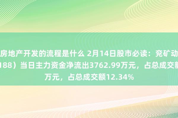 房地产开发的流程是什么 2月14日股市必读：兖矿动力（600188）当日主力资金净流出3762.99万元，占总成交额12.34%