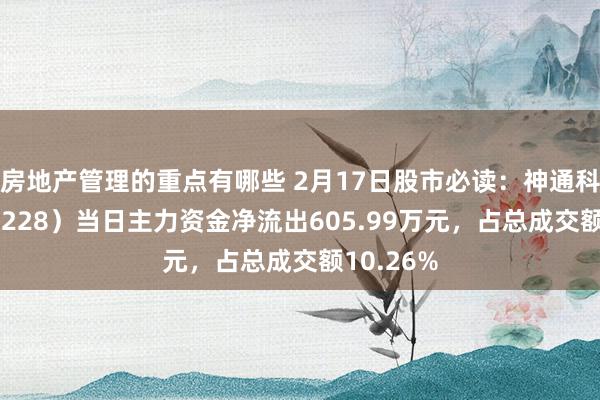 房地产管理的重点有哪些 2月17日股市必读：神通科技（605228）当日主力资金净流出605.99万元，占总成交额10.26%