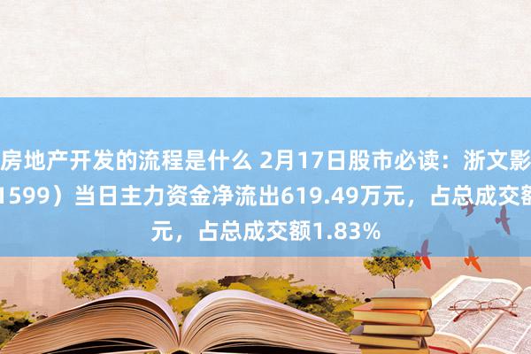 房地产开发的流程是什么 2月17日股市必读：浙文影业（601599）当日主力资金净流出619.49万元，占总成交额1.83%