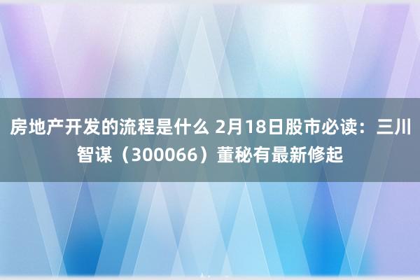 房地产开发的流程是什么 2月18日股市必读：三川智谋（300066）董秘有最新修起