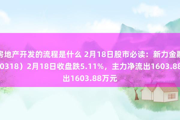 房地产开发的流程是什么 2月18日股市必读：新力金融（600318）2月18日收盘跌5.11%，主力净流出1603.88万元