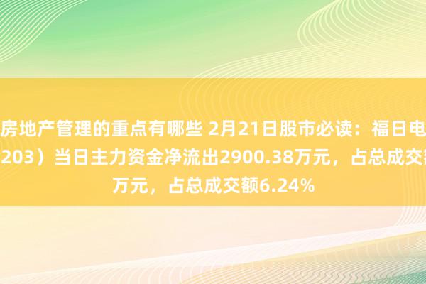 房地产管理的重点有哪些 2月21日股市必读：福日电子（600203）当日主力资金净流出2900.38万元，占总成交额6.24%