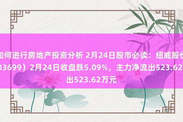 如何进行房地产投资分析 2月24日股市必读：纽威股份（603699）2月24日收盘跌5.09%，主力净流出523.62万元