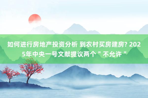 如何进行房地产投资分析 到农村买房建房? 2025年中央一号文献提议两个＂不允许＂