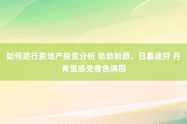 如何进行房地产投资分析 勃勃盼愿，日暮途穷 丹青里感受春色满园