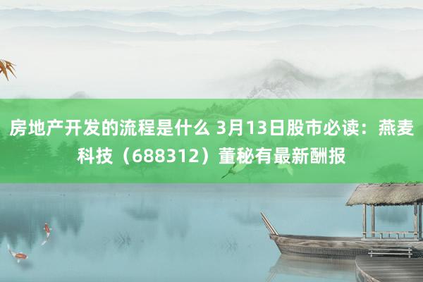 房地产开发的流程是什么 3月13日股市必读：燕麦科技（688312）董秘有最新酬报