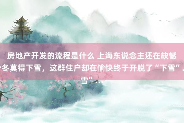 房地产开发的流程是什么 上海东说念主还在缺憾今冬莫得下雪，这群住户却在愉快终于开脱了“下雪”…