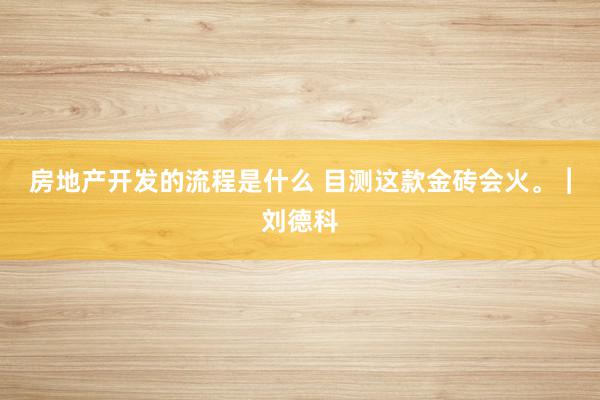 房地产开发的流程是什么 目测这款金砖会火。︱刘德科